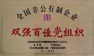 全國雙強(qiáng)百佳黨組織