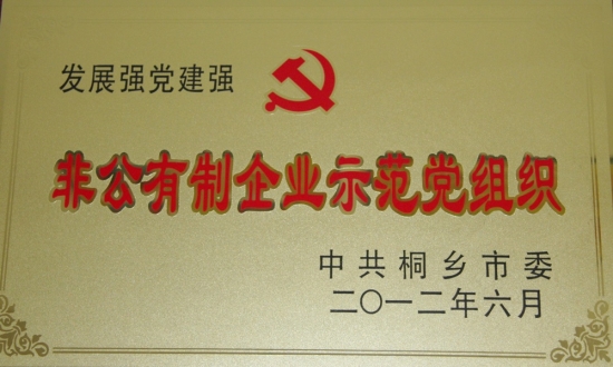 桐鄉(xiāng)市發(fā)展強(qiáng)黨建強(qiáng)非公企業(yè)示范黨組織