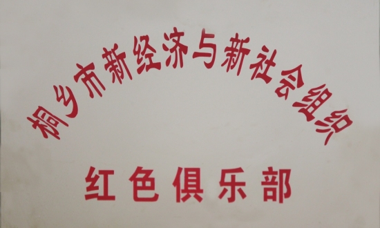 桐鄉(xiāng)市新經(jīng)濟(jì)和新社會組織紅色俱樂部