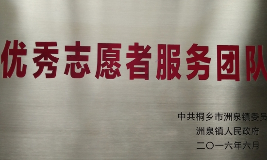 洲泉鎮(zhèn)優(yōu)秀志愿者服務(wù)團(tuán)隊