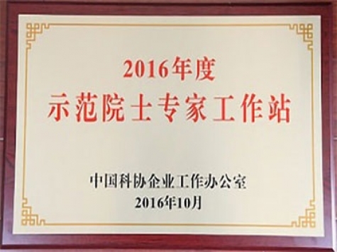2016年度示范院士專家工作站